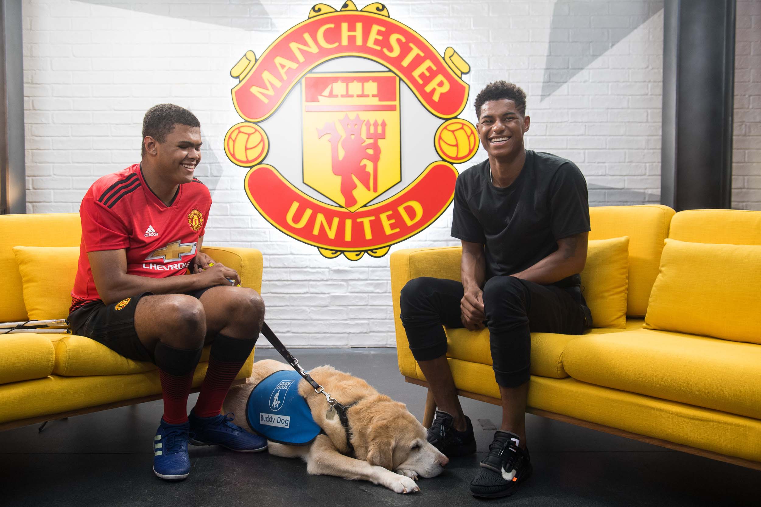 Manchester United Footballer Rashford with Guide Dog Charity 